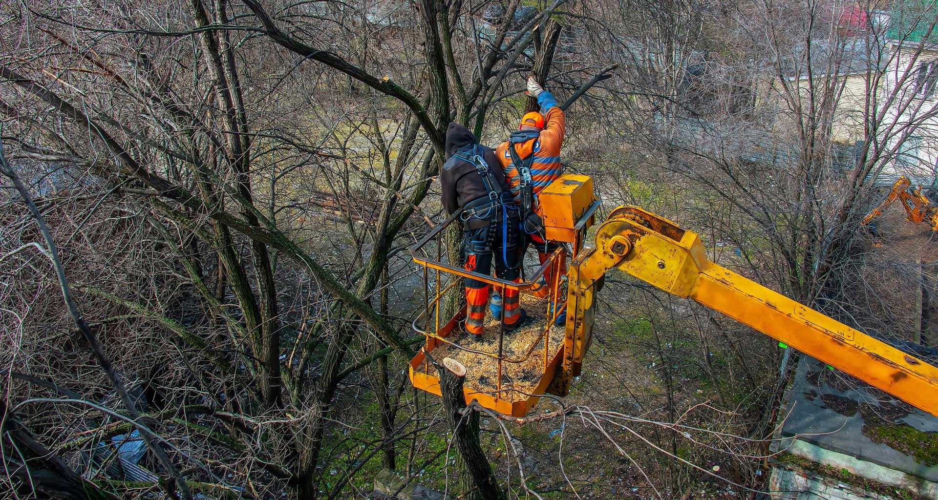 Le ofrecemos la maquinaria necesaria para sus trabajos en altura